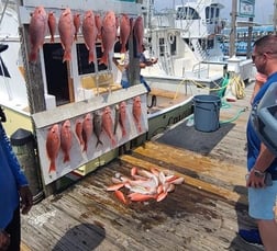 Red Snapper, Scup, Vermillion Snapper Fishing in Destin, Florida