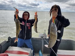 Channel Catfish Fishing in Port Clinton, Ohio