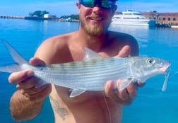 Mangrove Snapper Fishing in Key West, Florida