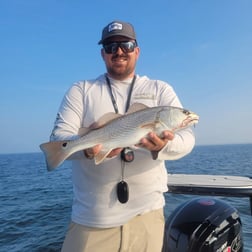 Redfish Fishing in Islamorada, Florida