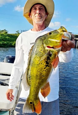 Peacock Bass Fishing in Delray Beach, Florida