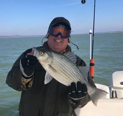 Blue Catfish, Hybrid Striped Bass Fishing in Runaway Bay, Texas