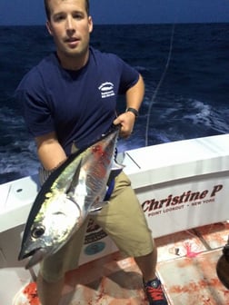 Yellowfin Tuna Fishing in Freeport, New York, USA