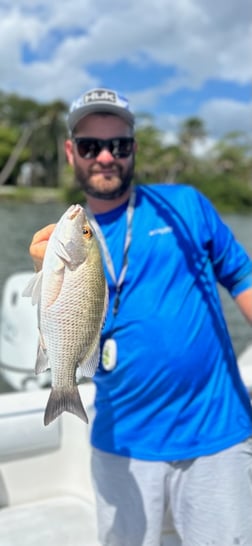 Fishing in Port Orange, Florida