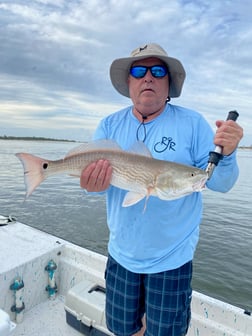 Redfish, Snook Fishing in St. Augustine, Florida