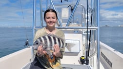 Mangrove Snapper, Scup / Porgy, Sheepshead Fishing in Sarasota, Florida