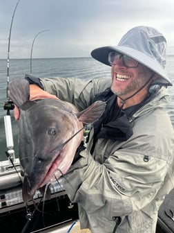 Coho Salmon fishing in Port Clinton, Ohio