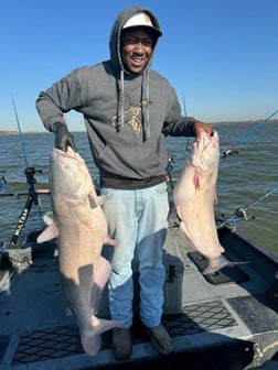 Blue Catfish Fishing in Dallas, Texas