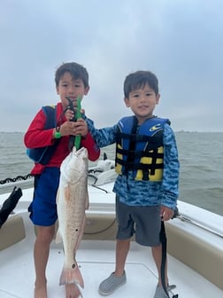 Redfish Fishing in Galveston, Texas