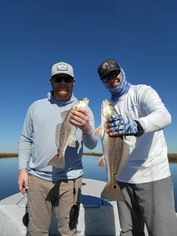 Redfish Fishing in Golden Meadow, Louisiana