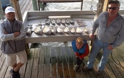 Black Drum Fishing in Houston, Texas