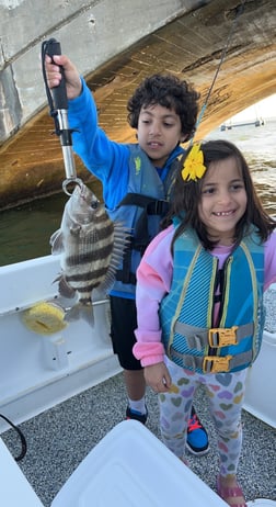 Sheepshead Fishing in Galveston, Texas