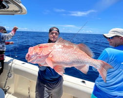 Red Snapper Fishing in Madeira Beach, Florida