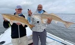 Redfish Fishing in Galveston, Texas