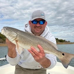 Black Drum Fishing in Beaufort, North Carolina