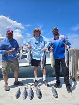 Fishing in Pompano Beach, Florida