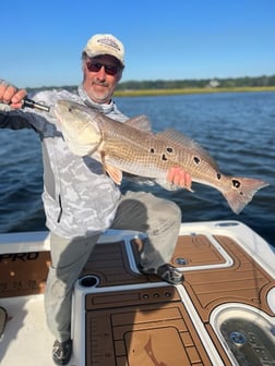 Red Grouper fishing in Little River, South Carolina