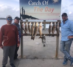 Black Drum, Redfish Fishing in Rockport, Texas