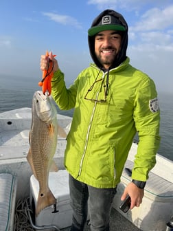 Redfish Fishing in Galveston, Texas