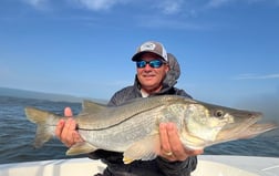 Fishing in Port Orange, Florida