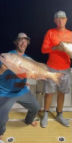 Fishing in Tampa, Florida