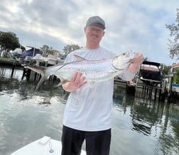 Jack Crevalle Fishing in Sarasota, Florida