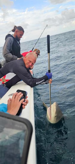 Fishing in Miami, Florida