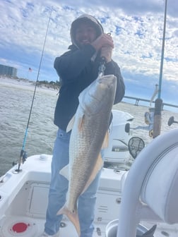 Fishing in Orange Beach, Alabama