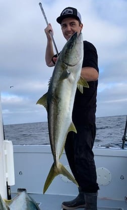 Yellowtail Amberjack Fishing in Dana Point, California