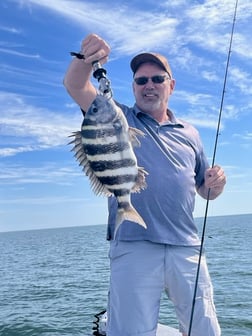 Mangrove Snapper, Speckled Trout / Spotted Seatrout Fishing in Crystal River, Florida