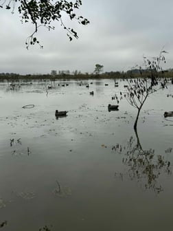 Fishing in El Campo, Texas