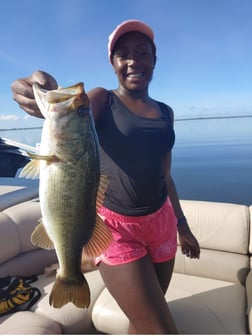 Largemouth Bass fishing in Kissimmee, Florida