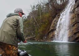 Brown Trout Fishing in Johnson City, Tennessee