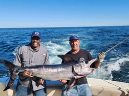 Black Seabass, Swordfish, Tilefish Fishing in Virginia Beach, Virginia