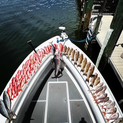 Red Snapper, Triggerfish fishing in Destin, Florida