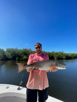 Fishing in Tampa, Florida