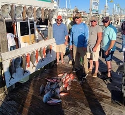 Amberjack, Triggerfish, Vermillion Snapper Fishing in Destin, Florida