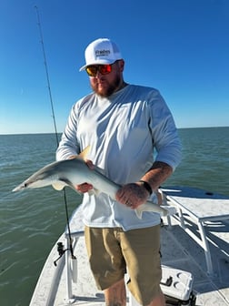 Fishing in South Padre Island, Texas