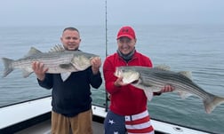 Striped Bass Fishing in Montauk, New York