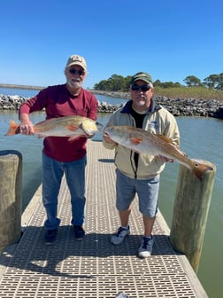 Sheepshead Fishing in Gulf Shores, Alabama