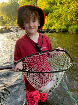 Rainbow Trout fishing in Broken Bow, Oklahoma