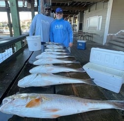 Redfish, Speckled Trout / Spotted Seatrout fishing in Galveston, Texas