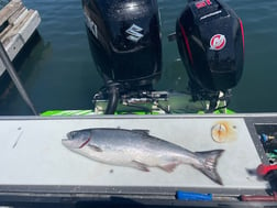 Halibut Fishing in Garibaldi, Oregon