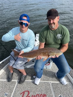 Redfish fishing in Holmes Beach, Florida