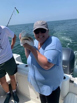 Striped Bass Fishing in Dennis, Massachusetts