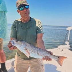 Fishing in Cape Coral, Florida