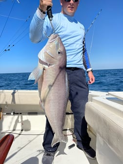 Tilefish Fishing in Virginia Beach, Virginia