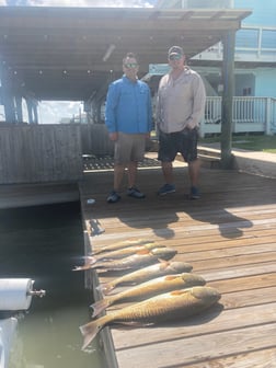 Alligator Gar fishing in Rockport, Texas