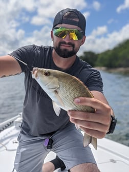 Fishing in Tampa, Florida