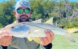 Tarpon Fishing in Tavernier, Florida